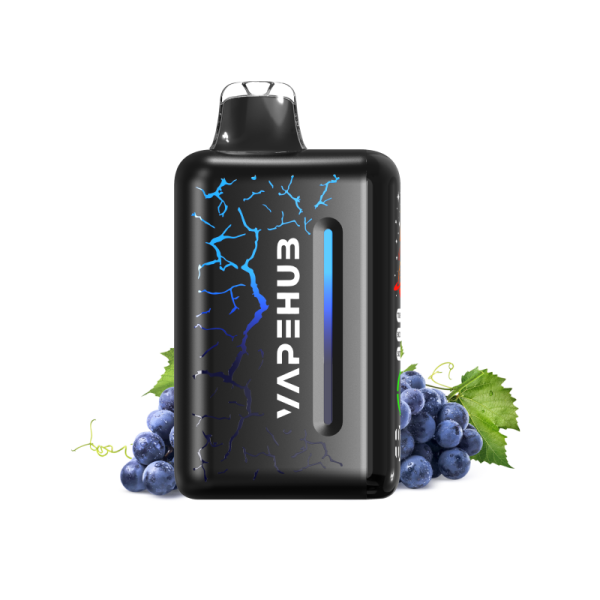 BLUEBERRY BLAST STORM – VAPEHUB ULTRA 20000