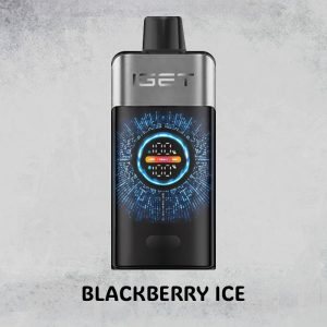 BLACKBERRY ICE – IGET ONE – 10000 PUFFS