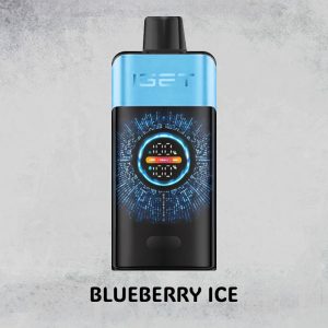 BLUEBERRY ICE – IGET ONE – 10000 PUFFS