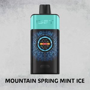 MOUNTAIN SPRING MINT ICE – IGET ONE – 10000 PUFFS