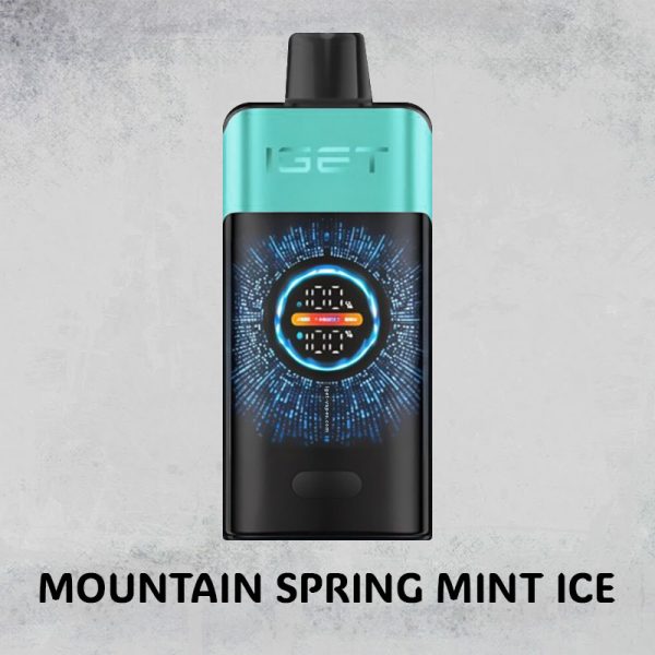 MOUNTAIN SPRING MINT ICE – IGET ONE – 10000 PUFFS