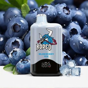 Gcore-Rodeo-G16000-Blueberry-Ice