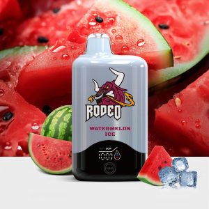 Gcore-Rodeo-G16000-Watermelon-Ice